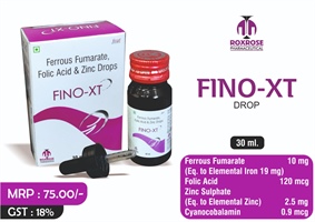 FINO-XT